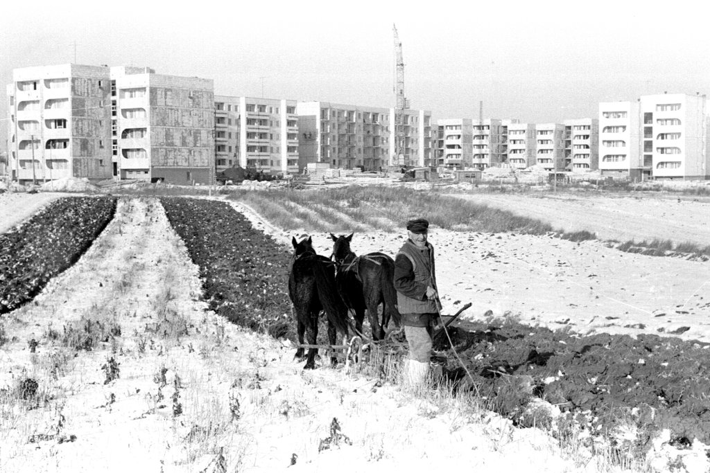 Chełm 1982