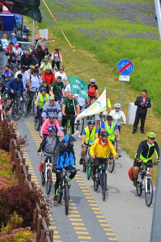 Porady Zielonego Trenera. Jazda na rowerze jak zacząć, jaki rower wybrać i gdzie jeździć